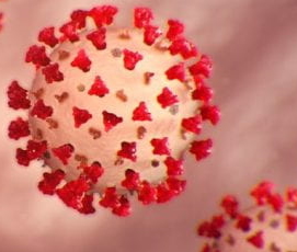 coronavirus thumbnail