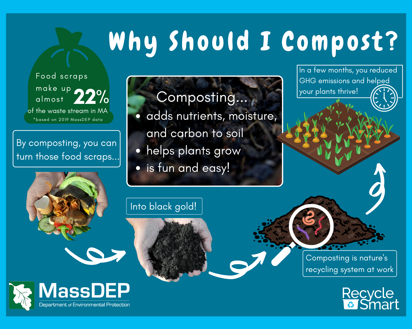 Composting Infographic